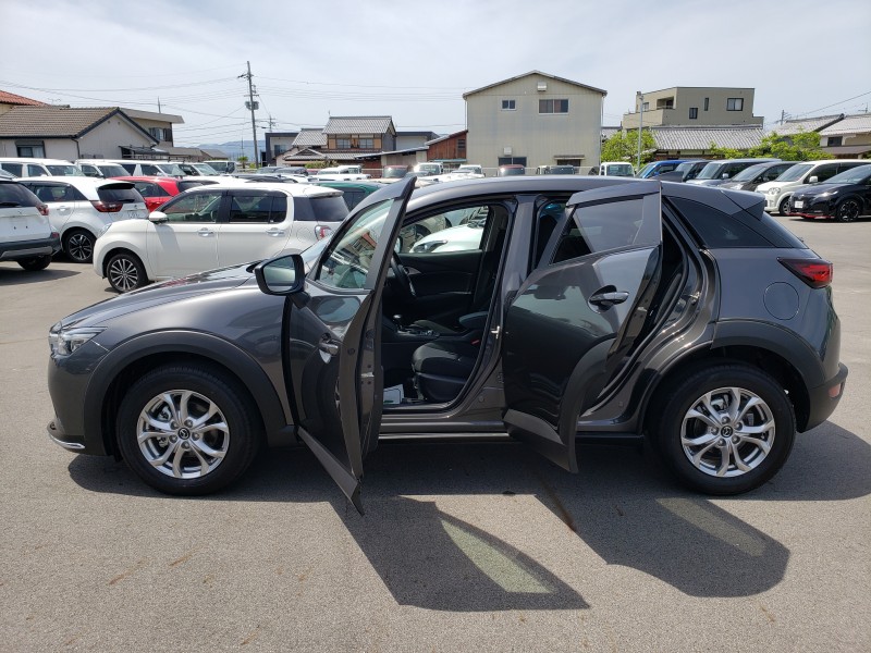 CX-335枚目