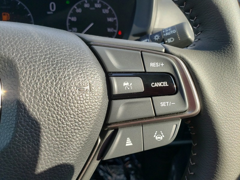 WR-V8枚目