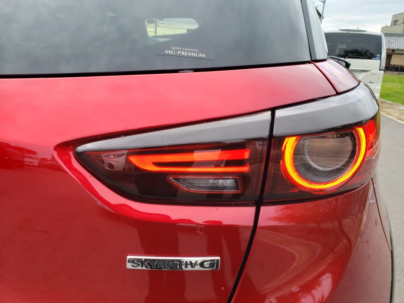 CX-313枚目