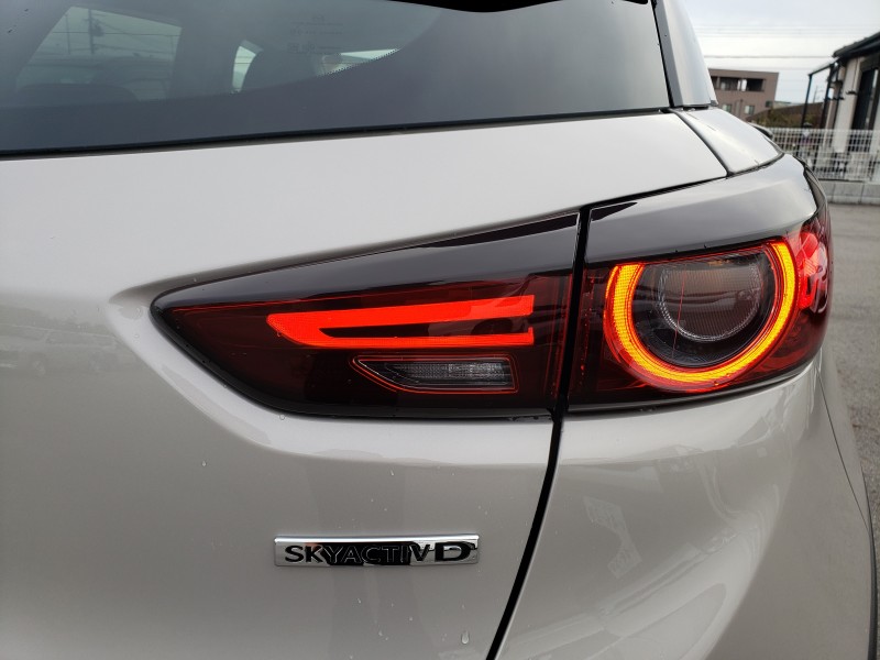 CX-312枚目