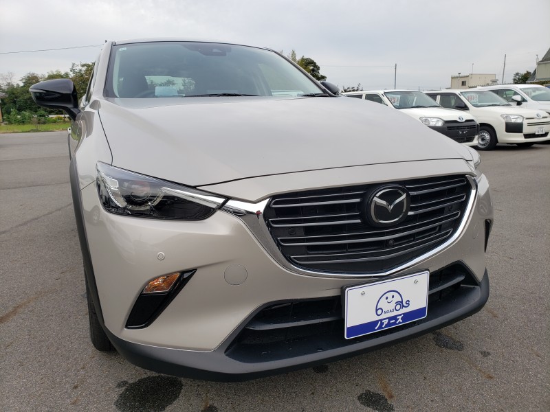 CX-33枚目