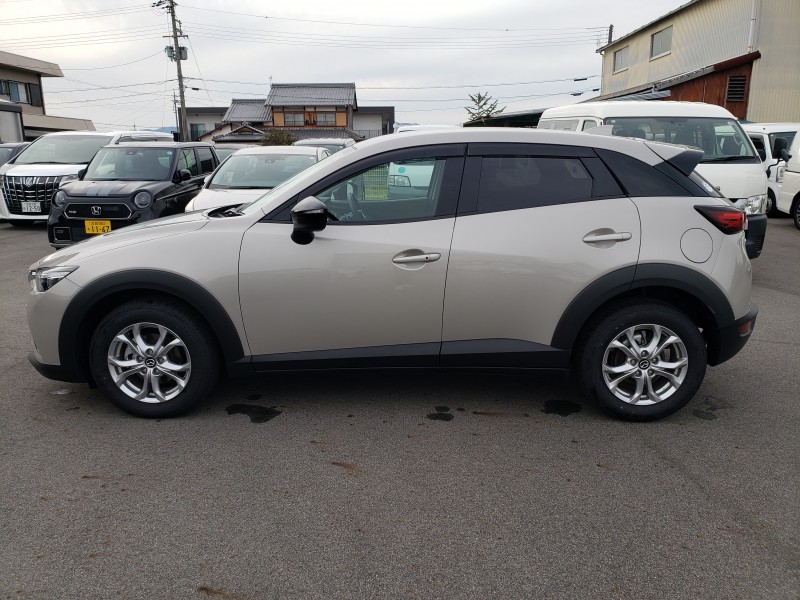 CX-38枚目