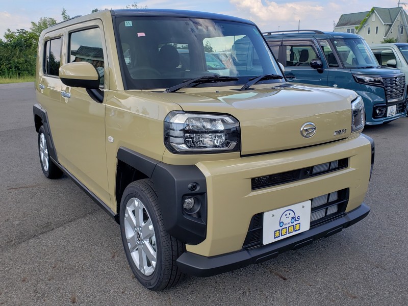 タフト3枚目