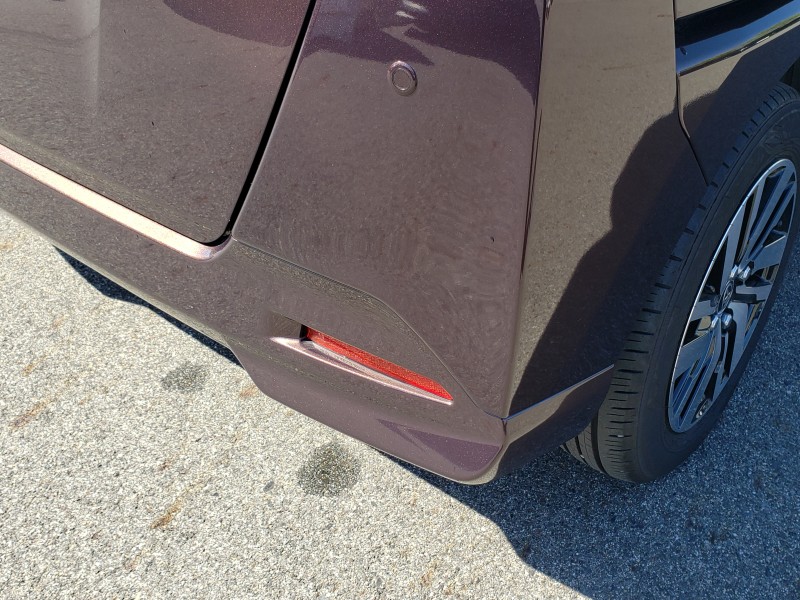 ルーミー13枚目