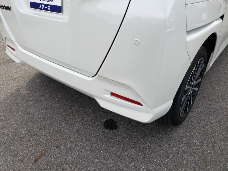 ルーミー15枚目