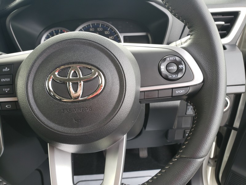 ルーミー21枚目