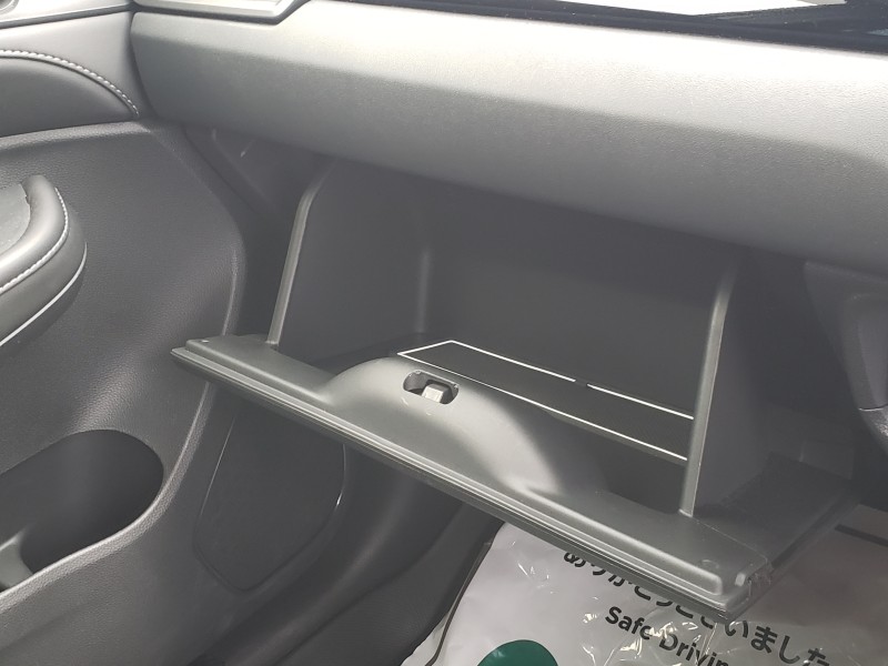 WR-V38枚目