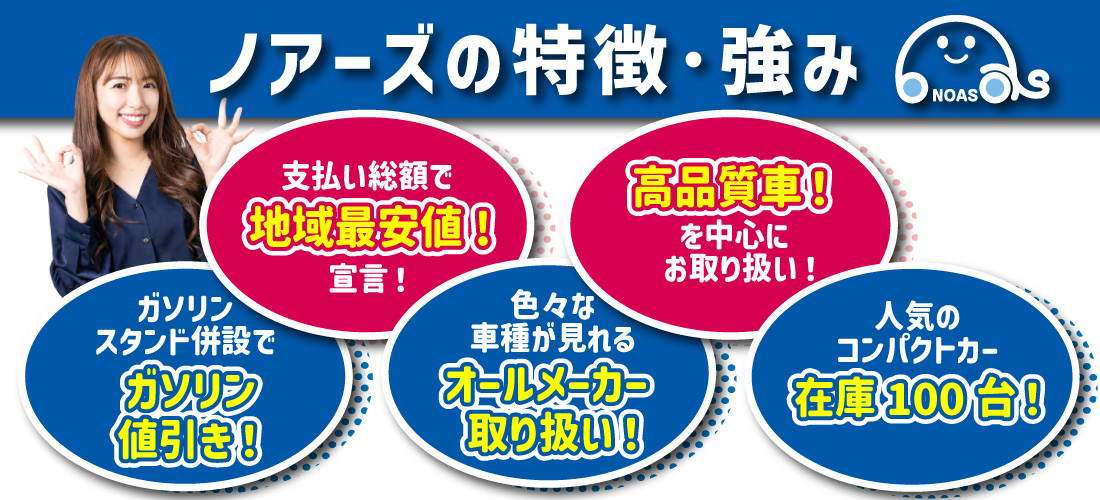 ノアーズの特徴・強み